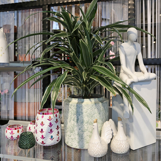 Voorjaar 2026 Voorjaar 2026