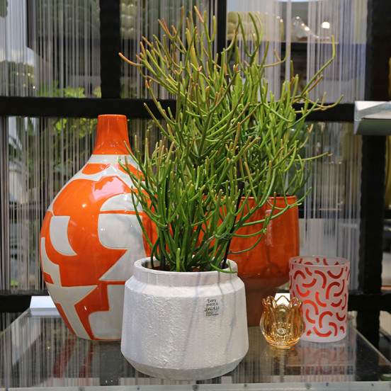 Voorjaar 2026 Voorjaar 2026