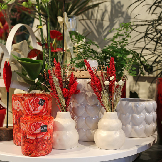 Voorjaar 2026 Voorjaar 2026