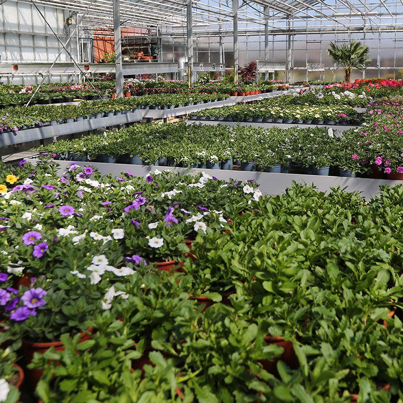 Bloemen en decoratie | Vanallemeersch-Deraedt