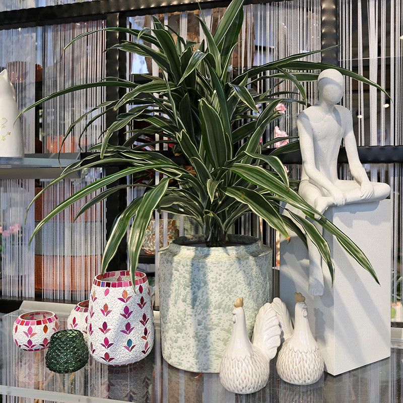 Bloemen en decoratie | Vanallemeersch-Deraedt Bloemen en decoratie | Vanallemeersch-Deraedt