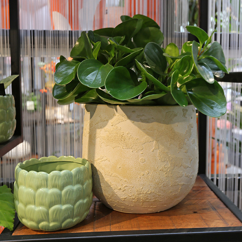 Bloemen en decoratie | Vanallemeersch-Deraedt Bloemen en decoratie | Vanallemeersch-Deraedt