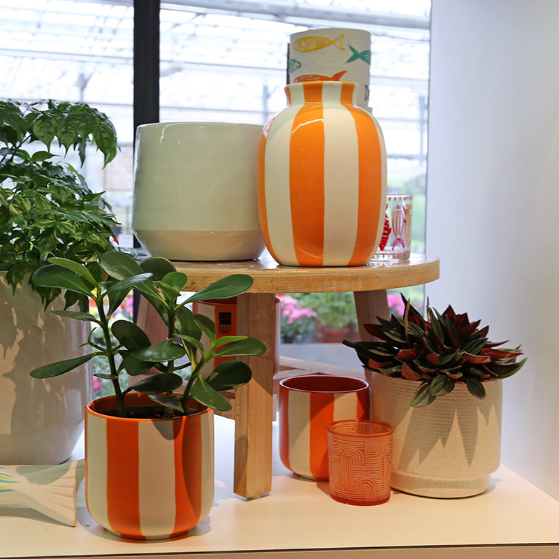 Bloemen en decoratie | Vanallemeersch-Deraedt Bloemen en decoratie | Vanallemeersch-Deraedt