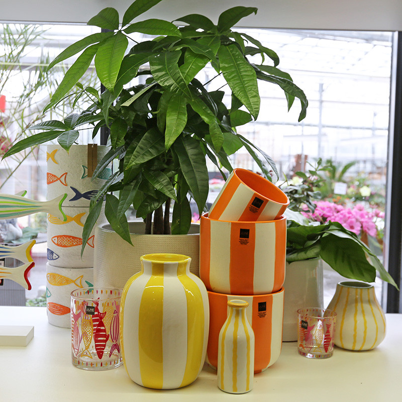 Bloemen en decoratie | Vanallemeersch-Deraedt Bloemen en decoratie | Vanallemeersch-Deraedt