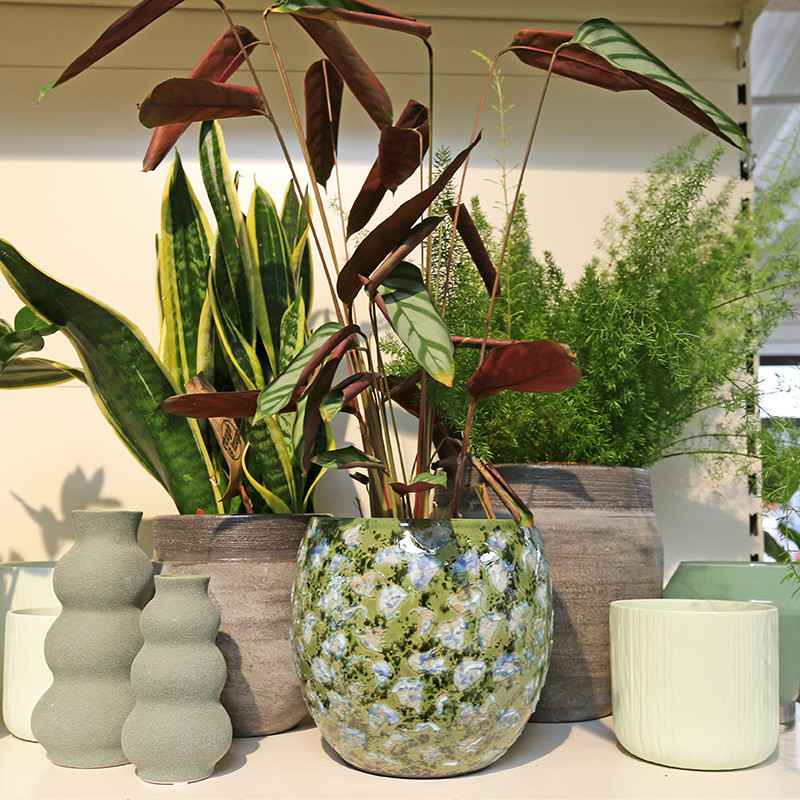 Bloemen en decoratie | Vanallemeersch-Deraedt Bloemen en decoratie | Vanallemeersch-Deraedt