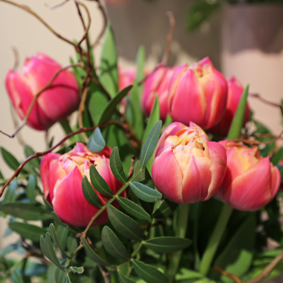 Lente 2026 Lente 2026