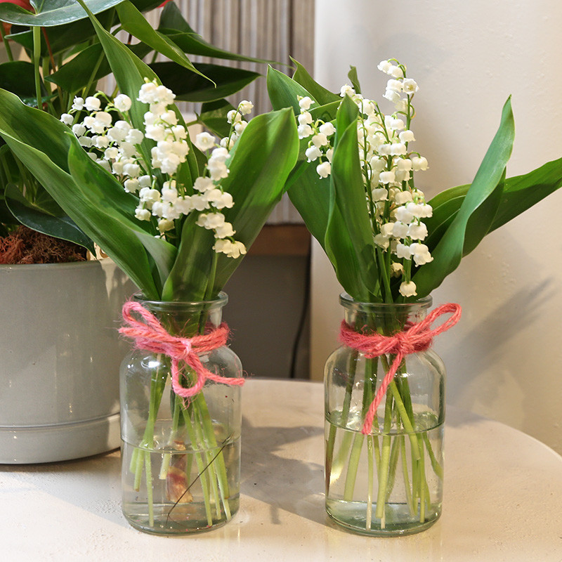 Bloemen en decoratie | Vanallemeersch-Deraedt Bloemen en decoratie | Vanallemeersch-Deraedt