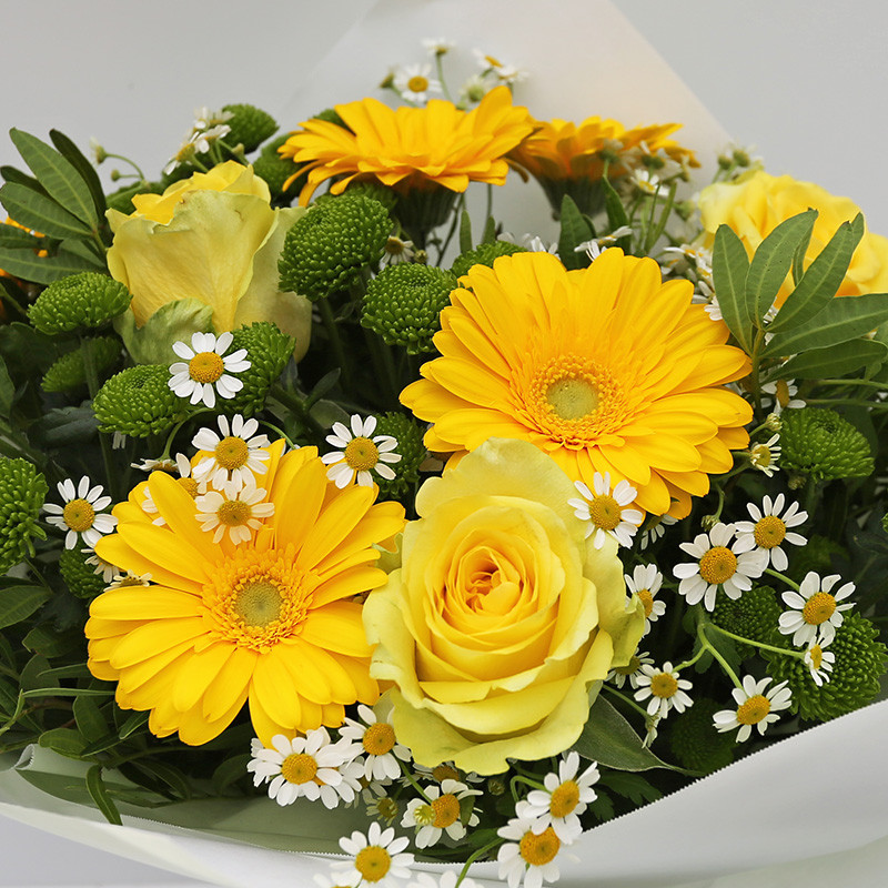 Bloemen en decoratie | Vanallemeersch-Deraedt Bloemen en decoratie | Vanallemeersch-Deraedt