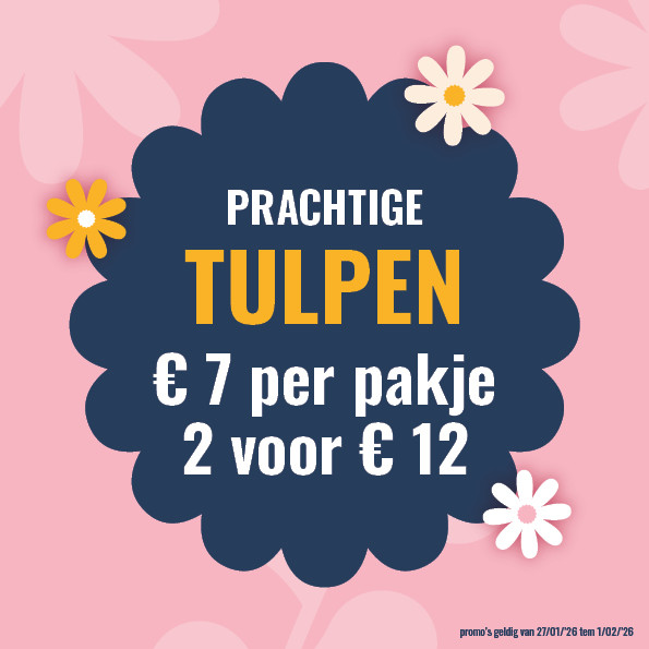 Bloemen en decoratie | Vanallemeersch-Deraedt
