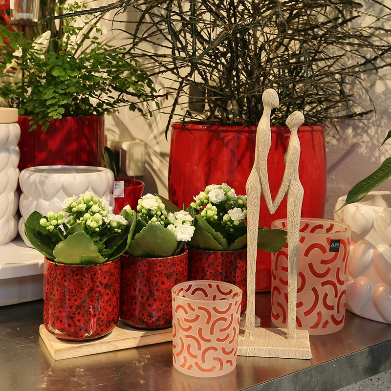 Bloemen en decoratie | Vanallemeersch-Deraedt