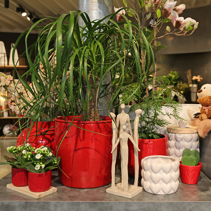 Bloemen en decoratie | Vanallemeersch-Deraedt