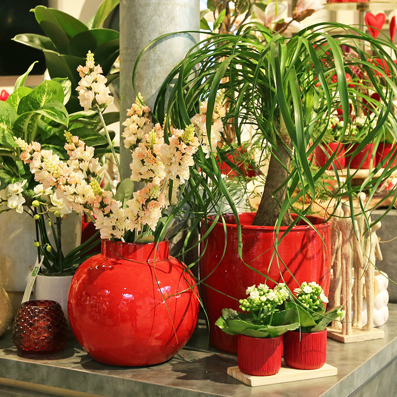 Bloemen en decoratie | Vanallemeersch-Deraedt