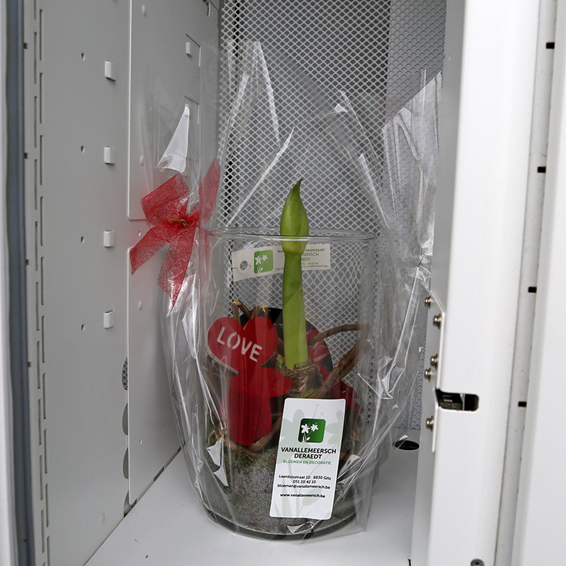 Bloemen en decoratie | Vanallemeersch-Deraedt Bloemen en decoratie | Vanallemeersch-Deraedt