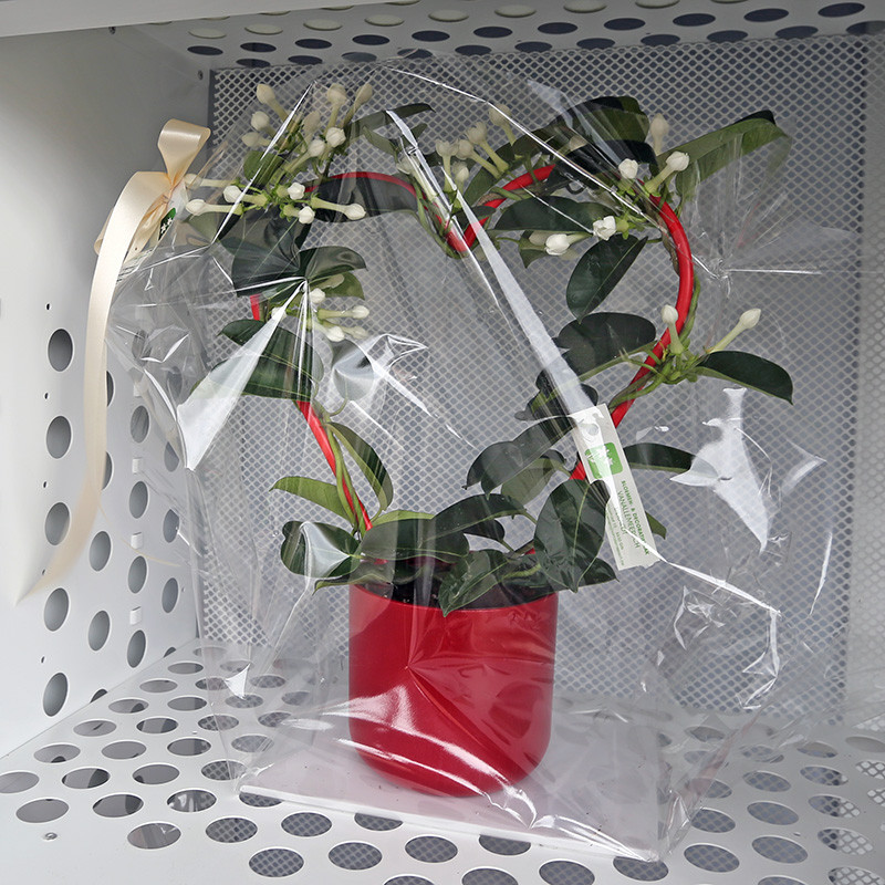 Bloemen en decoratie | Vanallemeersch-Deraedt Bloemen en decoratie | Vanallemeersch-Deraedt