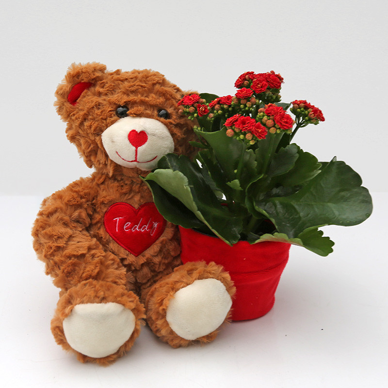 Bloemen en decoratie | Vanallemeersch-Deraedt