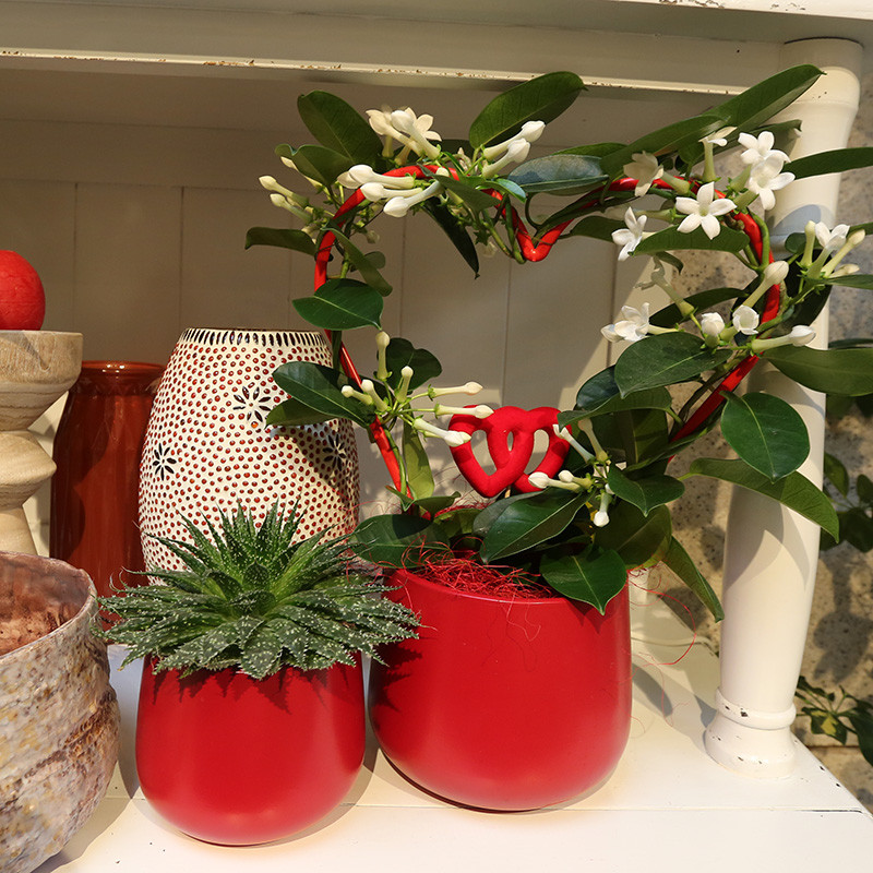 Bloemen en decoratie | Vanallemeersch-Deraedt