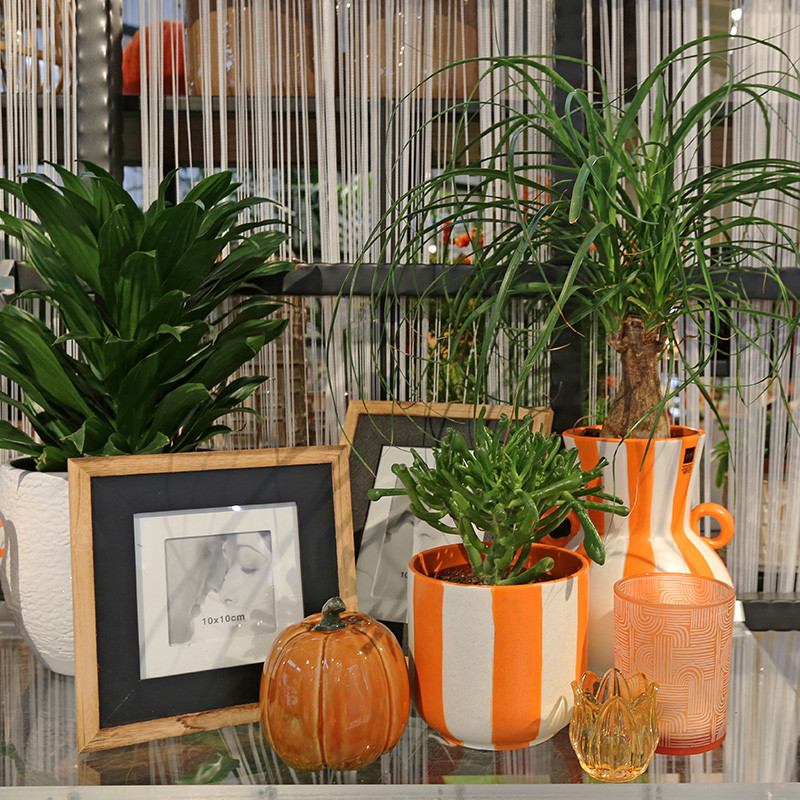Bloemen en decoratie | Vanallemeersch-Deraedt Bloemen en decoratie | Vanallemeersch-Deraedt