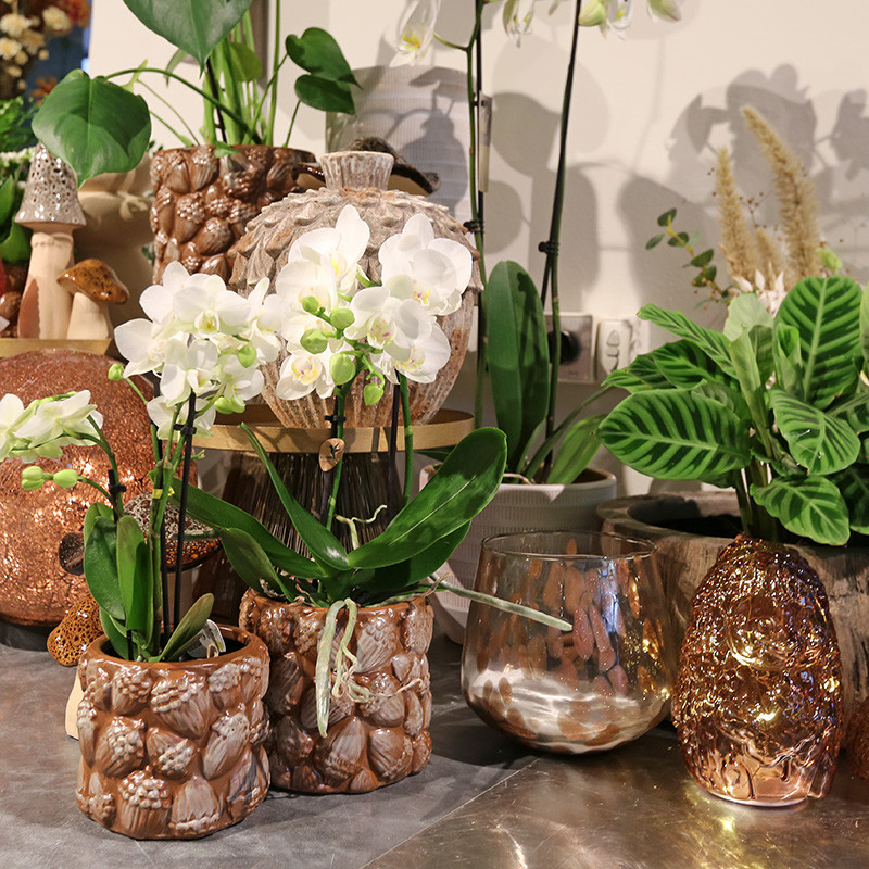 Bloemen en decoratie | Vanallemeersch-Deraedt
