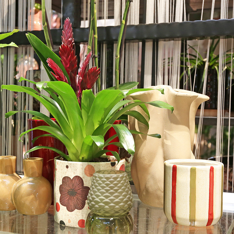 Bloemen en decoratie | Vanallemeersch-Deraedt