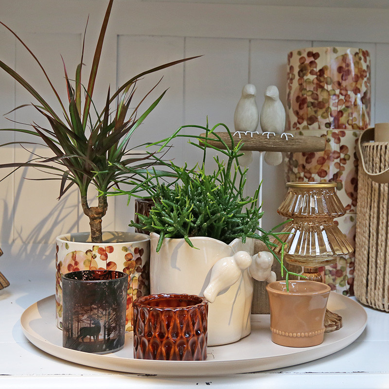 Bloemen en decoratie | Vanallemeersch-Deraedt