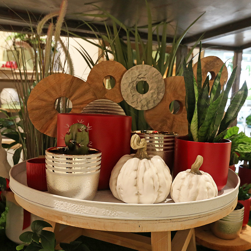 Bloemen en decoratie | Vanallemeersch-Deraedt Bloemen en decoratie | Vanallemeersch-Deraedt
