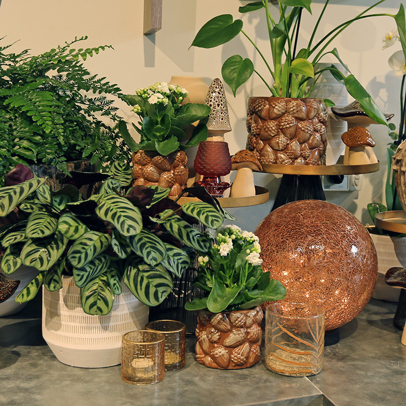 Bloemen en decoratie | Vanallemeersch-Deraedt