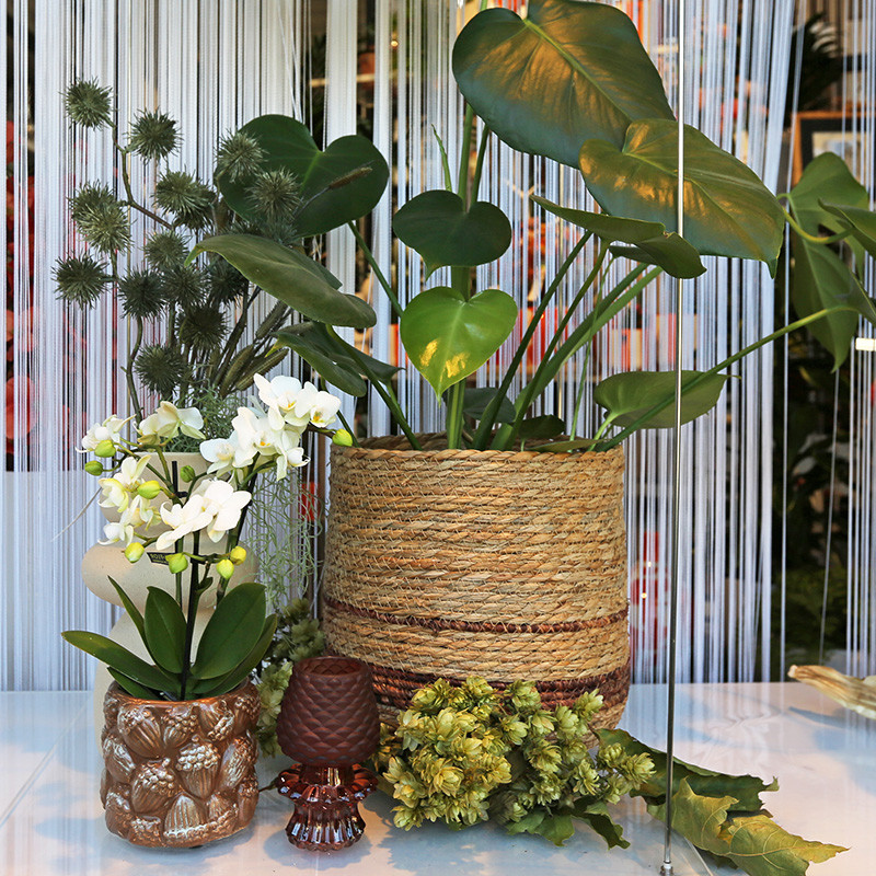 Bloemen en decoratie | Vanallemeersch-Deraedt Bloemen en decoratie | Vanallemeersch-Deraedt