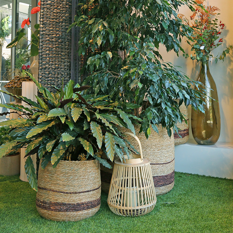 Bloemen en decoratie | Vanallemeersch-Deraedt Bloemen en decoratie | Vanallemeersch-Deraedt