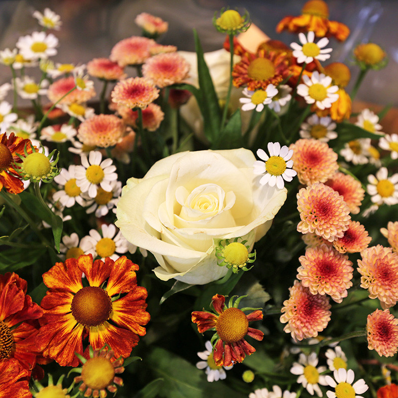 Bloemen en decoratie | Vanallemeersch-Deraedt Bloemen en decoratie | Vanallemeersch-Deraedt