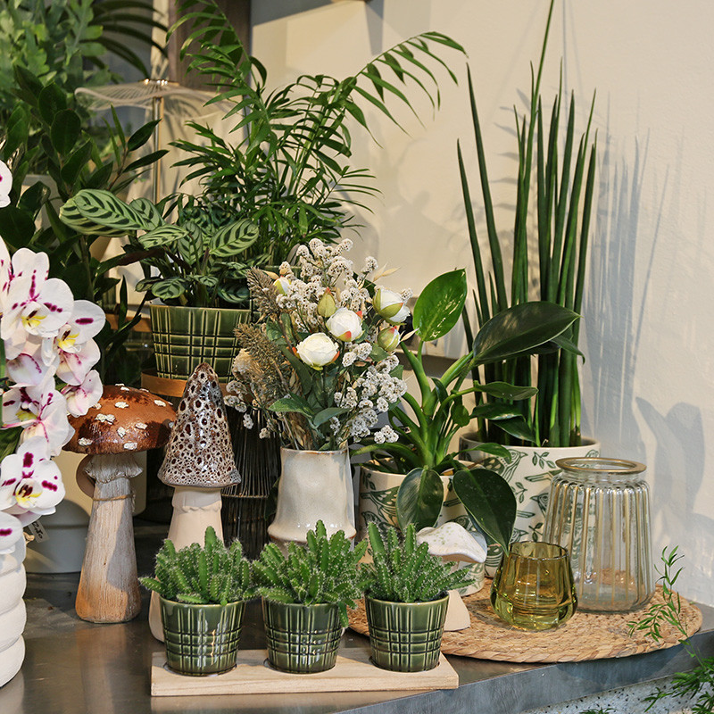 Bloemen en decoratie | Vanallemeersch-Deraedt Bloemen en decoratie | Vanallemeersch-Deraedt