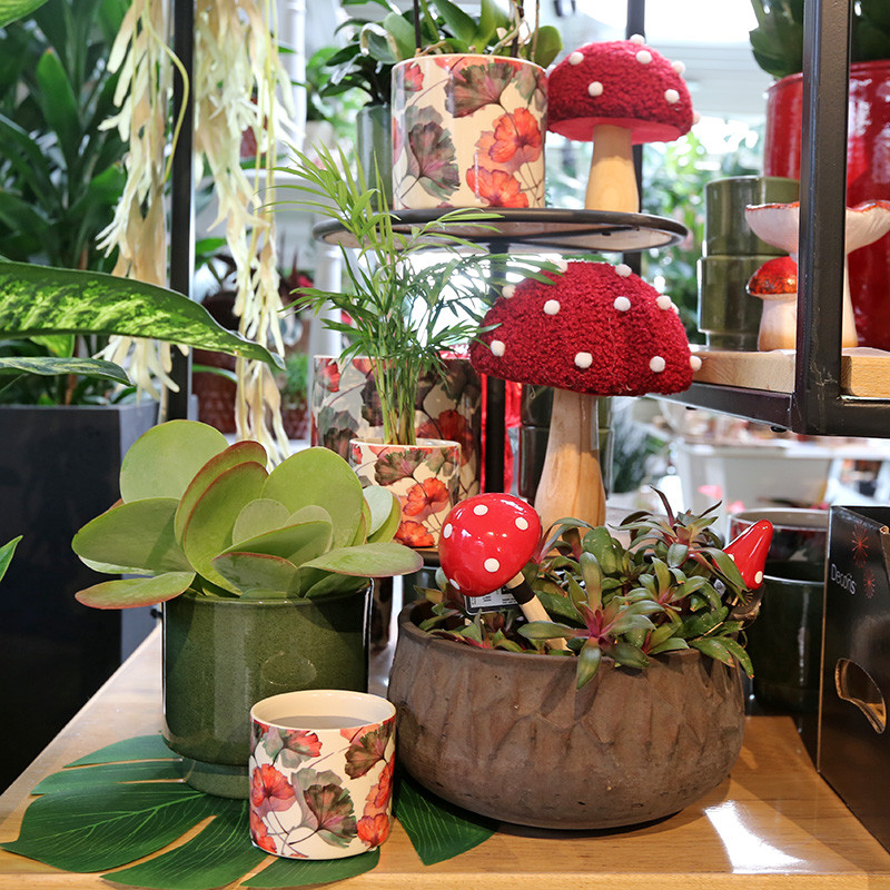 Bloemen en decoratie | Vanallemeersch-Deraedt Bloemen en decoratie | Vanallemeersch-Deraedt