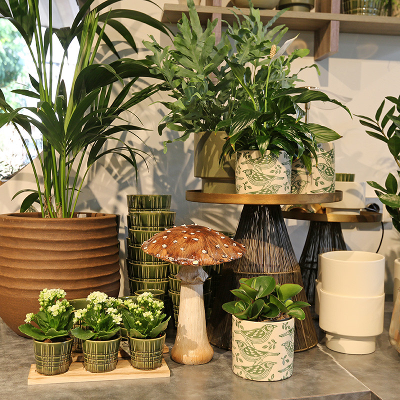 Bloemen en decoratie | Vanallemeersch-Deraedt Bloemen en decoratie | Vanallemeersch-Deraedt