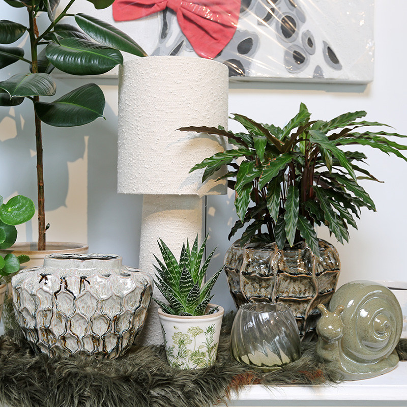 Bloemen en decoratie | Vanallemeersch-Deraedt Bloemen en decoratie | Vanallemeersch-Deraedt