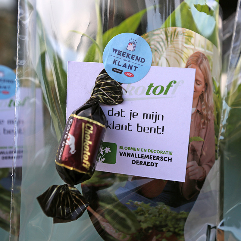 Bloemen en decoratie | Vanallemeersch-Deraedt Bloemen en decoratie | Vanallemeersch-Deraedt