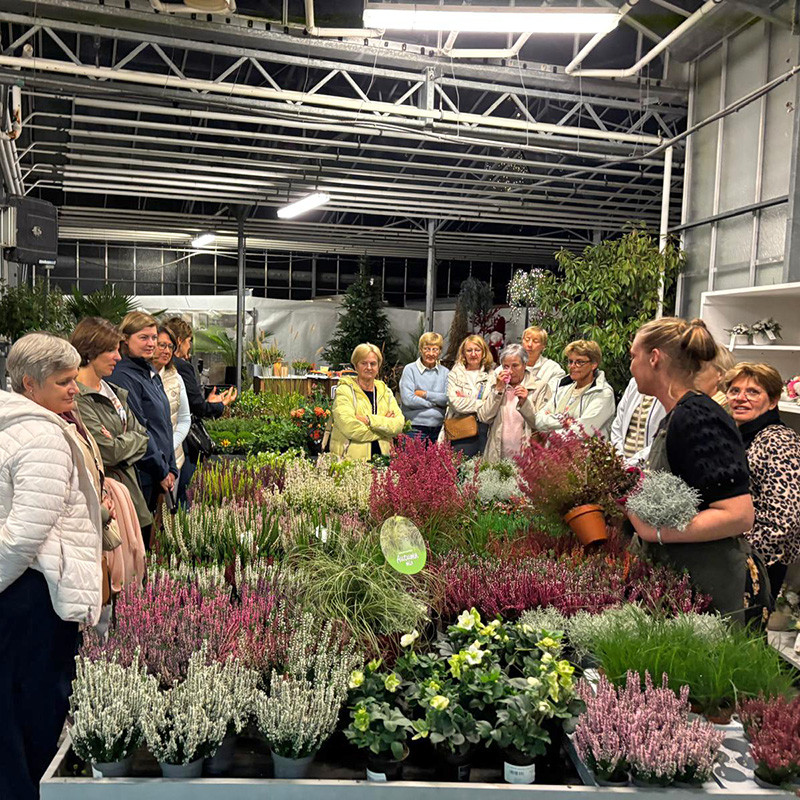 Bloemen en decoratie | Vanallemeersch-Deraedt Bloemen en decoratie | Vanallemeersch-Deraedt
