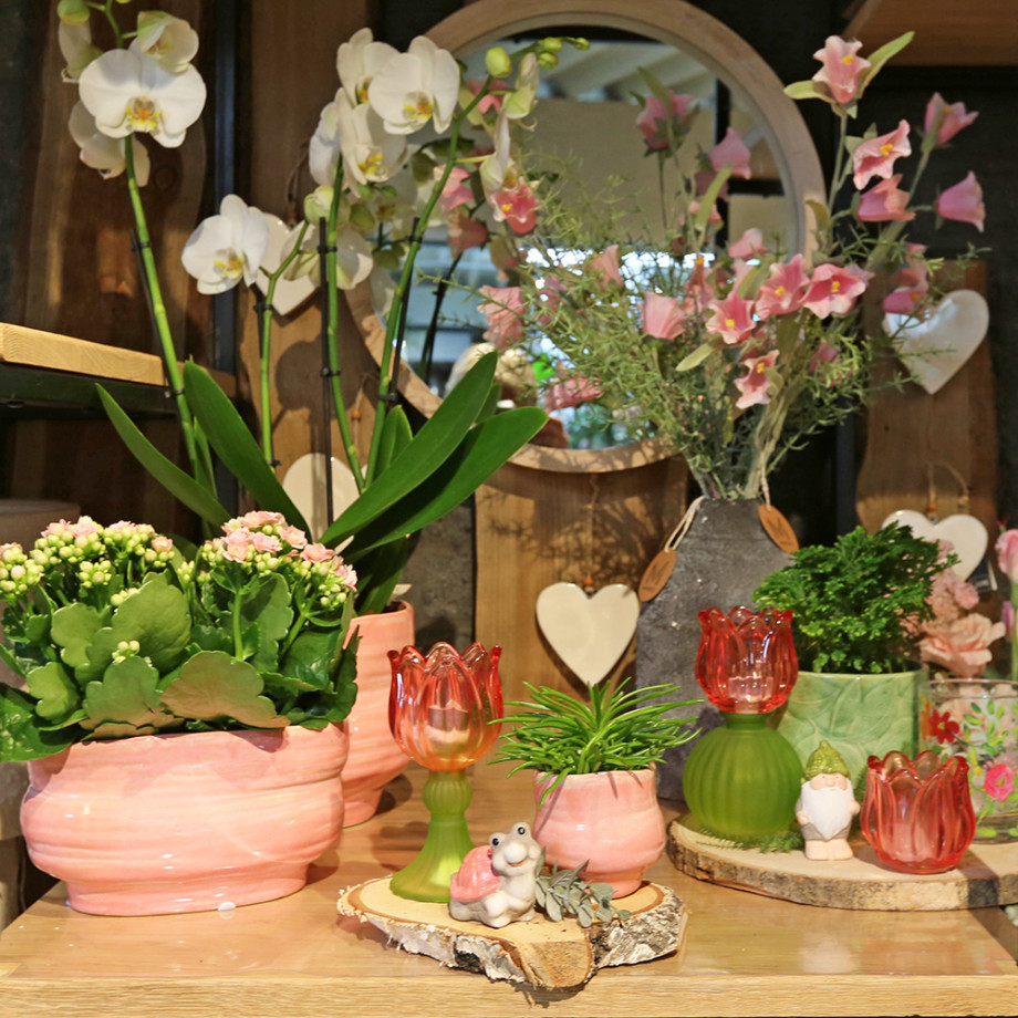 Bloemen en decoratie | Vanallemeersch-Deraedt Bloemen en decoratie | Vanallemeersch-Deraedt
