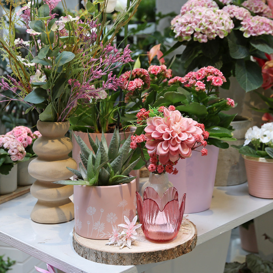 Bloemen en decoratie | Vanallemeersch-Deraedt Bloemen en decoratie | Vanallemeersch-Deraedt