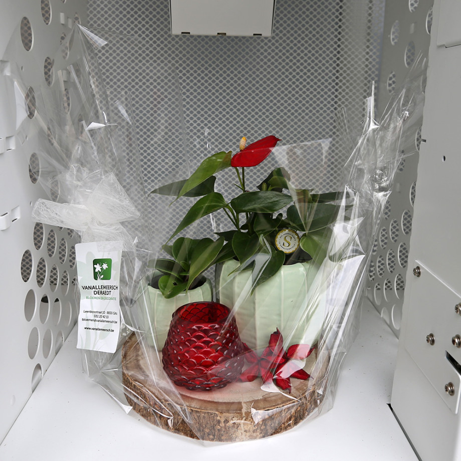 Bloemen en decoratie | Vanallemeersch-Deraedt Bloemen en decoratie | Vanallemeersch-Deraedt