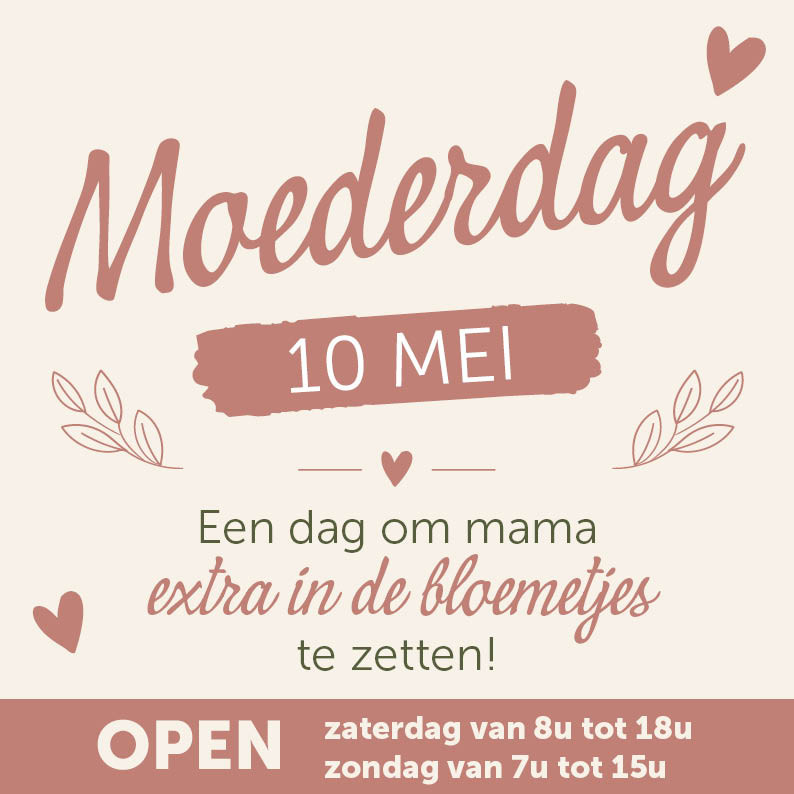 Bloemen en decoratie | Vanallemeersch-Deraedt Bloemen en decoratie | Vanallemeersch-Deraedt