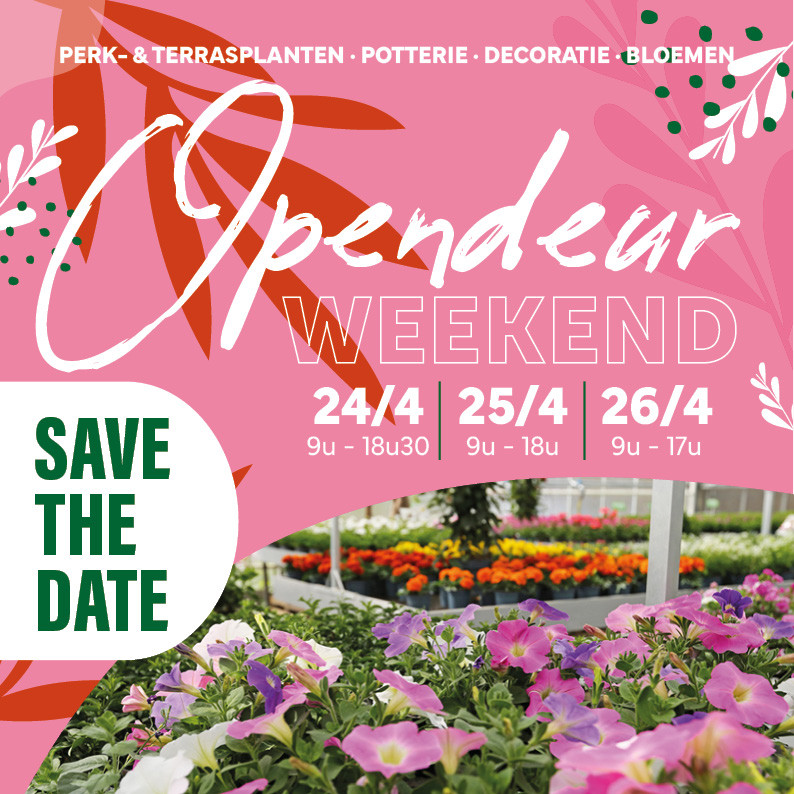 Bloemen en decoratie | Vanallemeersch-Deraedt