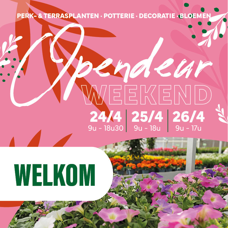 Bloemen en decoratie | Vanallemeersch-Deraedt