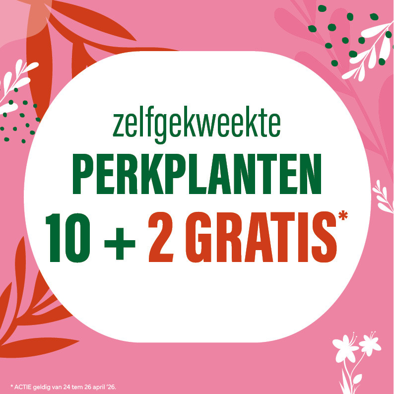 Bloemen en decoratie | Vanallemeersch-Deraedt