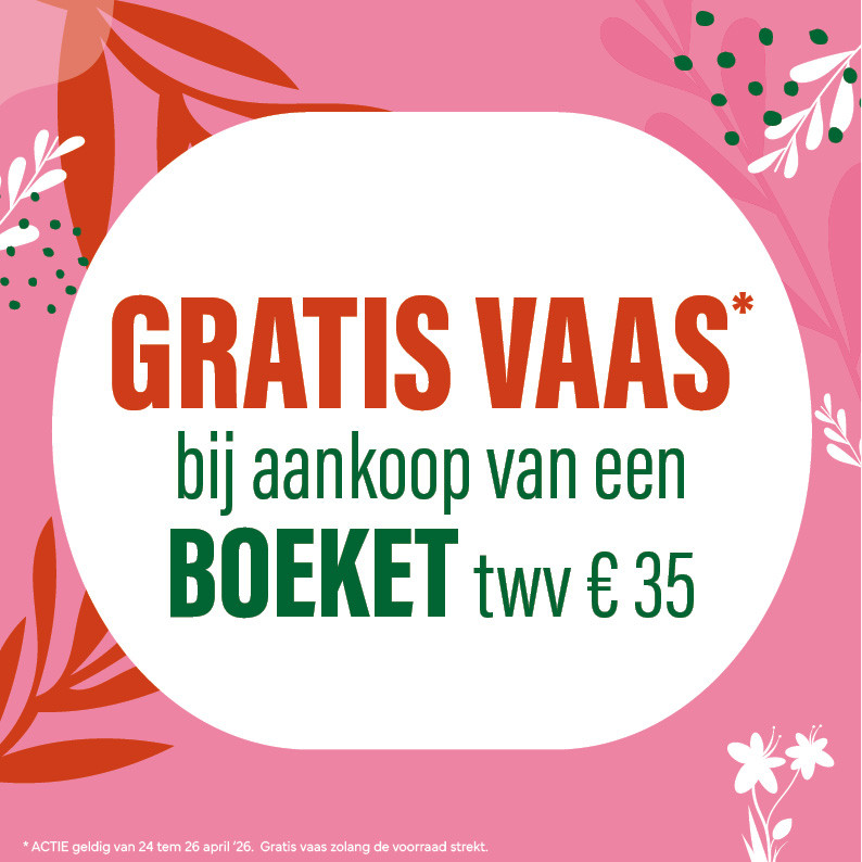 Bloemen en decoratie | Vanallemeersch-Deraedt