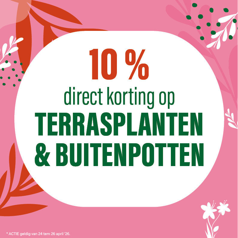 Bloemen en decoratie | Vanallemeersch-Deraedt