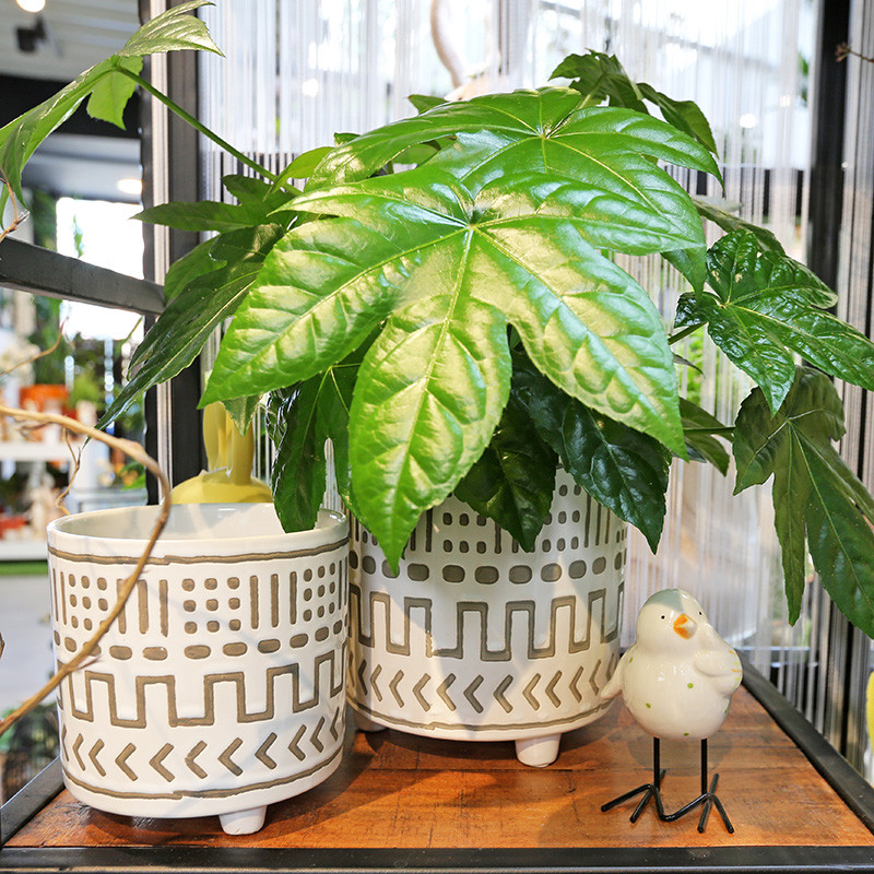 Bloemen en decoratie | Vanallemeersch-Deraedt