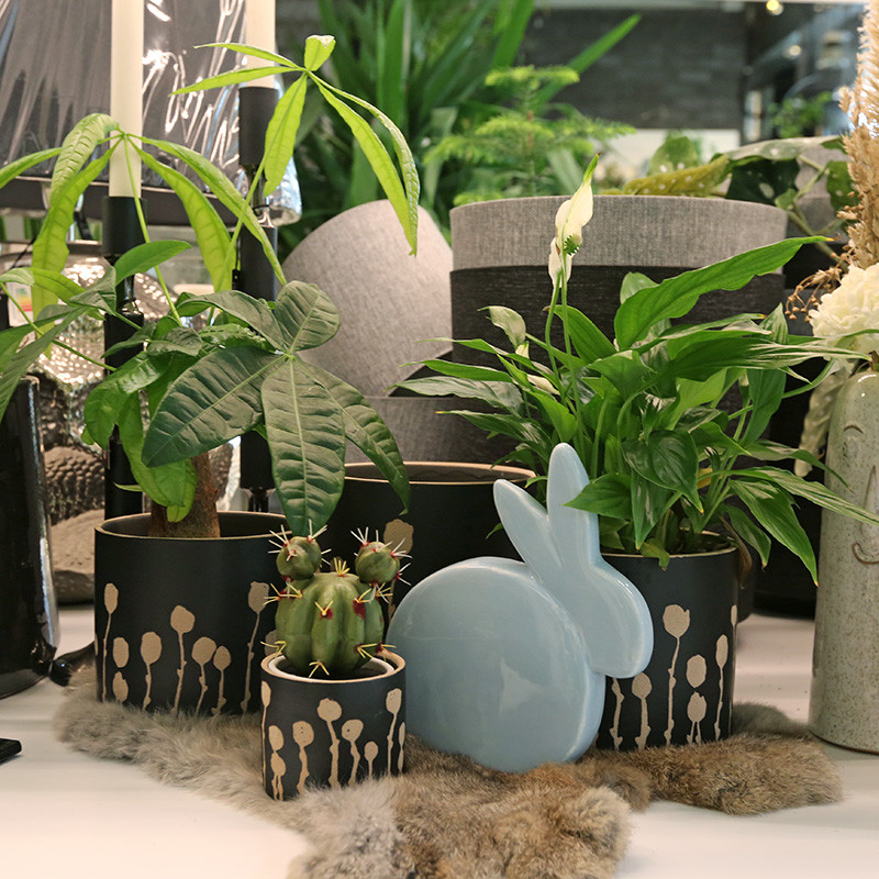 Bloemen en decoratie | Vanallemeersch-Deraedt