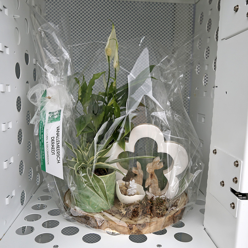 Bloemen en decoratie | Vanallemeersch-Deraedt Bloemen en decoratie | Vanallemeersch-Deraedt