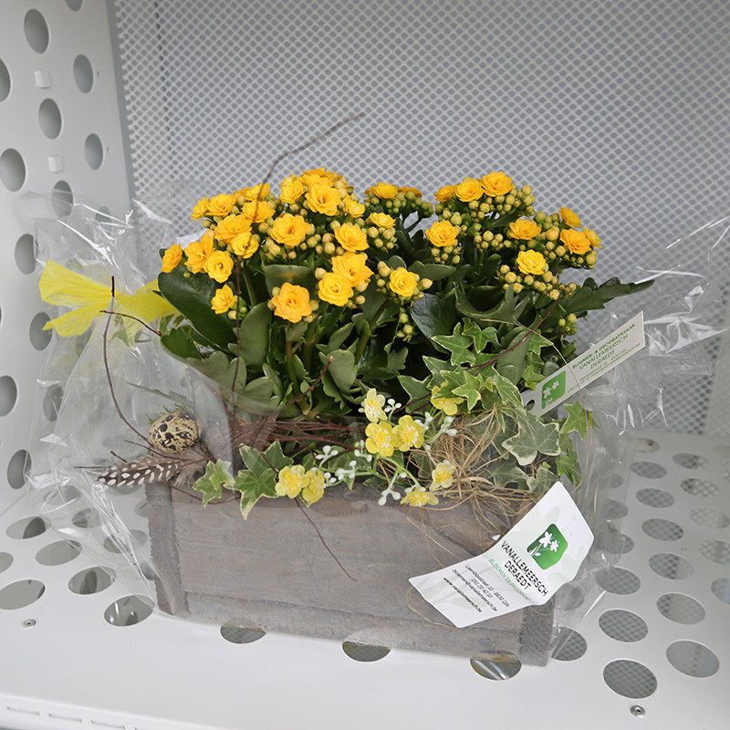 Bloemen en decoratie | Vanallemeersch-Deraedt Bloemen en decoratie | Vanallemeersch-Deraedt