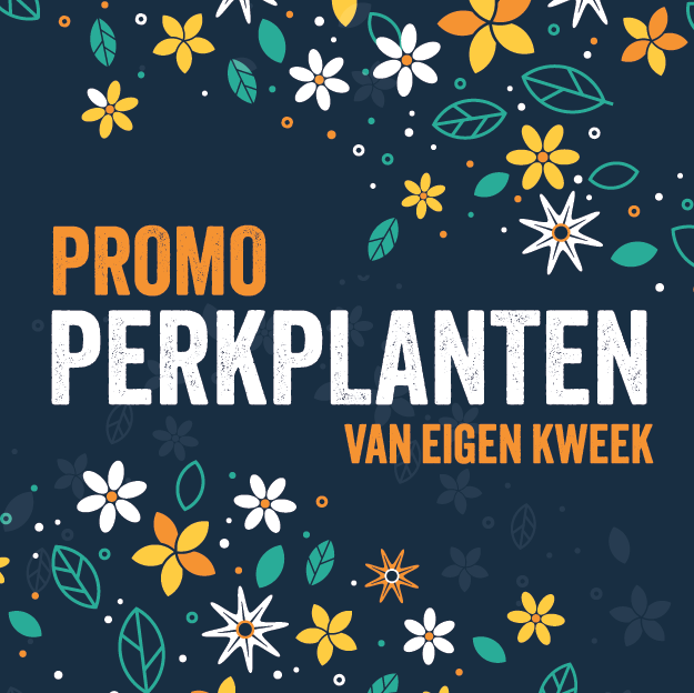 Bloemen en decoratie | Vanallemeersch-Deraedt Bloemen en decoratie | Vanallemeersch-Deraedt