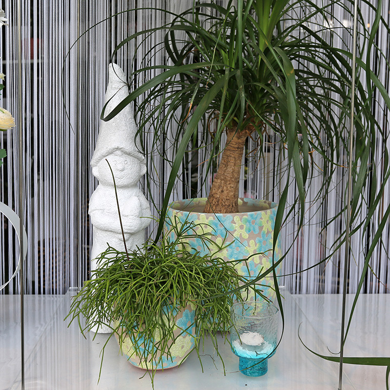 Bloemen en decoratie | Vanallemeersch-Deraedt